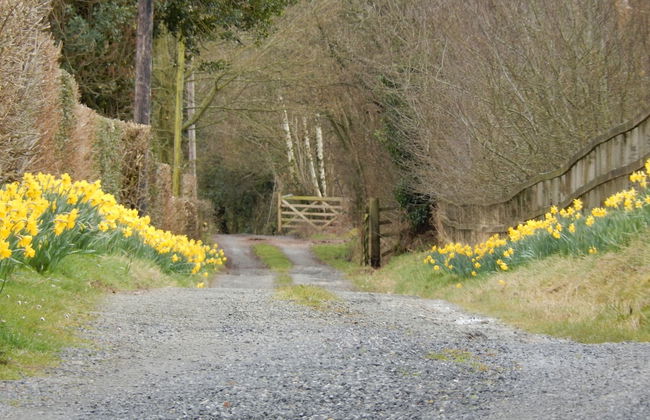 Alltybrain Farm Cottages and B&B - Foto 33