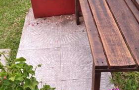 Sítio em área rural, ao pé da Serra Gaúcha. - Foto 18