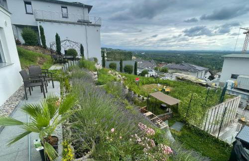 Vogesenblick - Foto 36