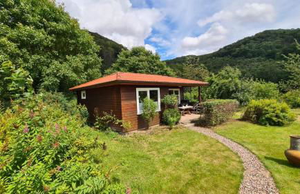 Ferien Langer Grund mitten im Wald - Foto 19