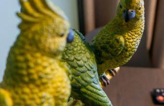 Trzy Małe Drzewka - Foto 50