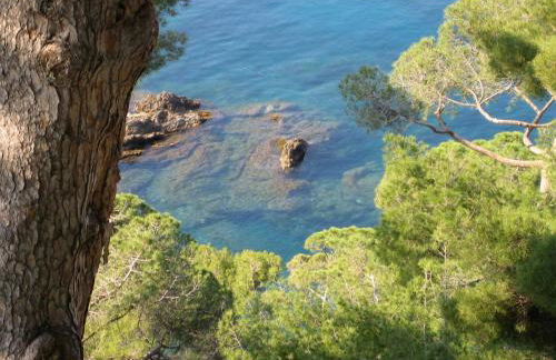 Casa Pepito - Foto 12