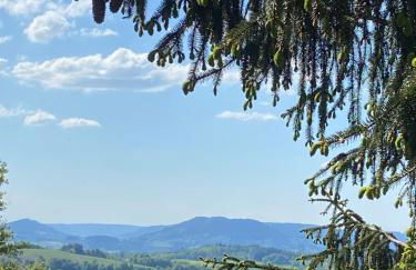 Chalet bois au calme, en lisière de forêt, balcons, sentiers balades Gérardmer & Alsace "Chalet Mon beau sapin" - Foto 14
