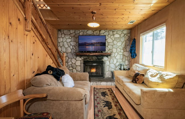 Bear Pause - Foto 13