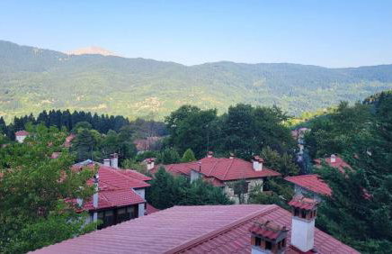 Panorama Elati - Foto 43