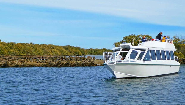 Cada naufrágio tem uma história para contar