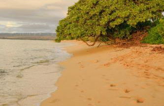 The Emerald House II apts - Foto 27