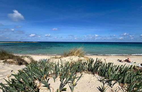 Aeneas Villa Pool & Jacuzzi al mare Torre Guaceto - Foto 23