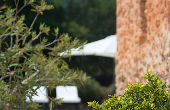 Agroturismo Can Guillem - Foto 45