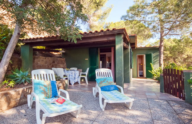 Piccola Oasi 7 - Foto 24