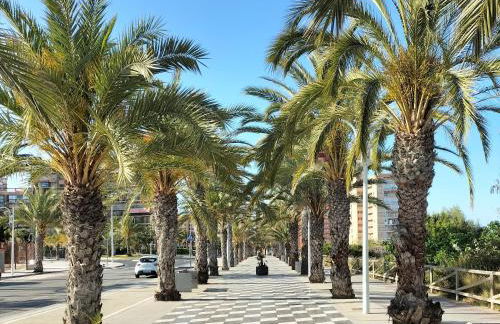 Dune Beach - Foto 11