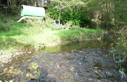 Romany Wagon & Cwtch - Photo 10