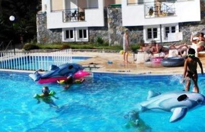 Apollon (ex. Albatros) - Foto 22