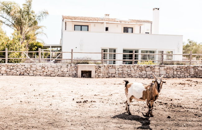 Masseria Prosperi - Photo 75