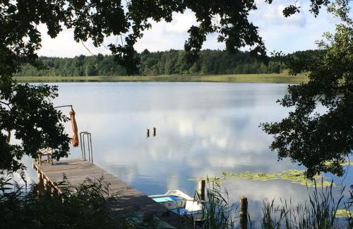 Nachtigall - Foto 24