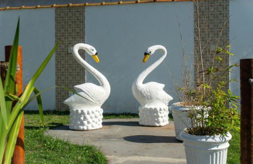 CasaLagodoscisnes Temporada - Foto 31