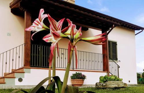 Villino i due Mori - Foto 27