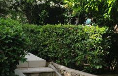 Apartment Luna i Lucky - Foto 46