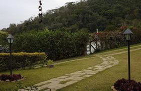 Vale das Estrelas - vale das videiras - araras - Foto 22