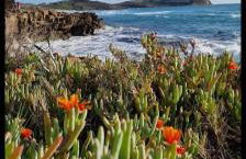 Summer House - Foto 27