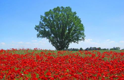 Inselidylle Villa Kunterbunt - Foto 14