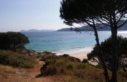 Casa do Crego - Foto 40