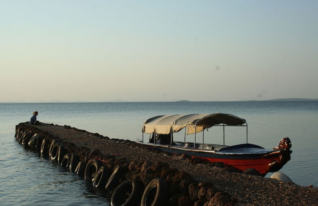 One Minute South - Photo 13