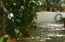 To limanaki - Foto 37