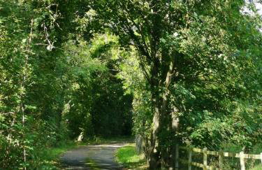 Grosmont Cottage, Ruswarp - Photo 31