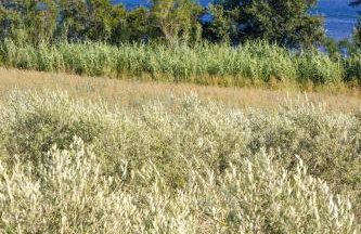 Holiday House Fontanele - Foto 47