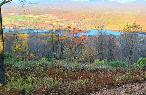 Stunning Views from the Fire Tower Cabin - Foto 40