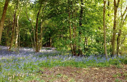 Sycamore Lodge Uk38193 - Photo 7