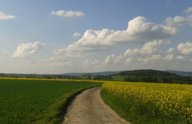 Ferienwohnung Sachsische Schweiz - Foto 38