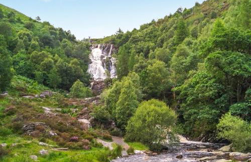 The Hedgehog Pod - Uk50067 - Photo 18