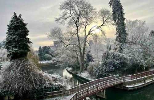 Linden Suite - Foto 15