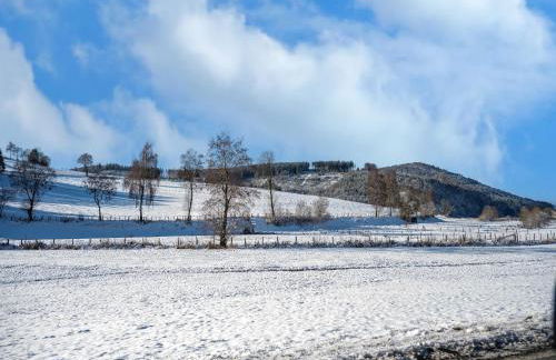 Spacious holiday home in Winterberg with terrace - Foto 34