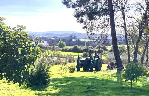 Casa Ar da Beira - Serra da Estrela - Belmonte - Foto 35