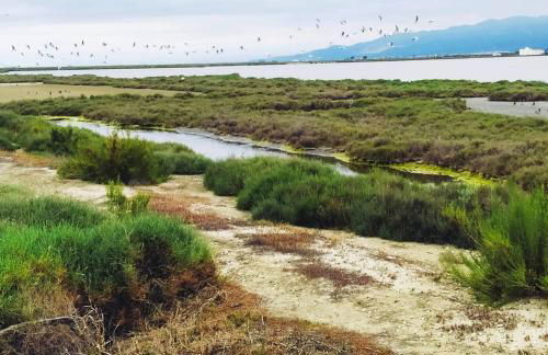 Looking at the Sea - Foto 21