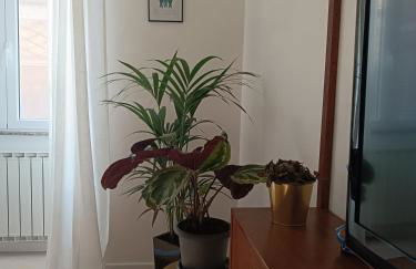 Design House Monti - Foto 13