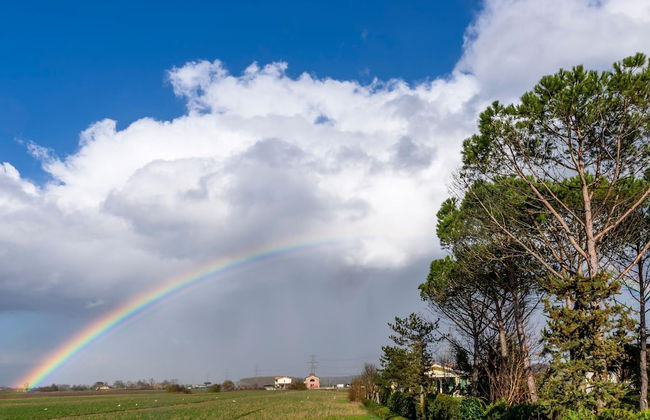 Tenuta Santa Colomba - Photo 55