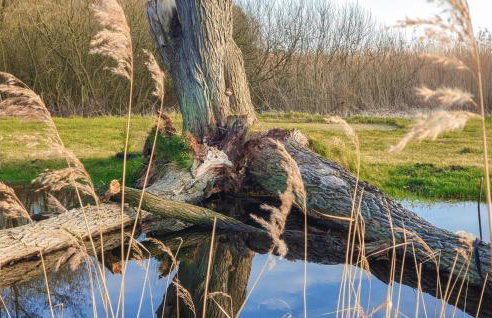 3 Bedroom Awesome Home In Zieleniewo - Foto 37