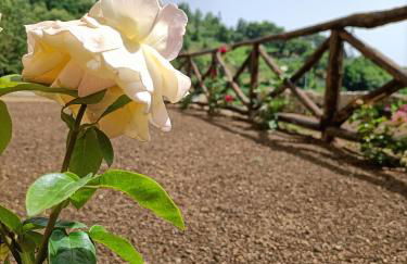 Casale Forno Vecchio - Foto 64