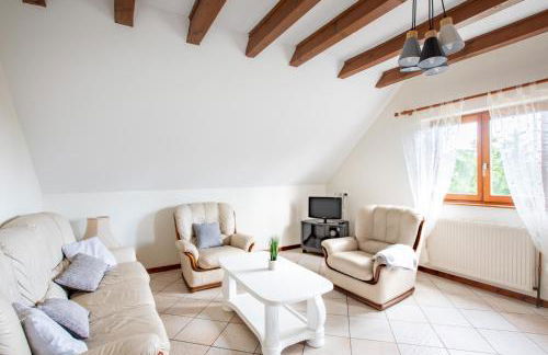 Route des vins d'Alsace, domaine viticole 'Pinot Gris' - Foto 3