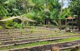 Chácara Bela Vista - Photo 16