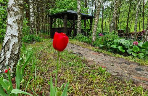 Leśny Zakątek Lipinki Bory Tucholskie - sauna - Foto 11