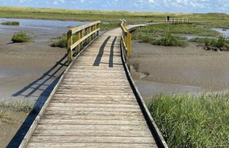 Idyllische Ferienwohnung an der Nordsee- Alte Schule Süllwarden - Foto 40
