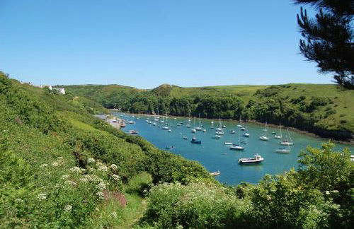 St Brides View Solva - Photo 17