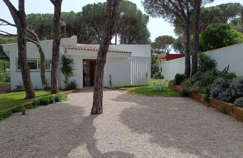 Diseño y luz entre los pinos - Foto 61