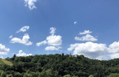 Ferienhaus Moselpromenade - Foto 43