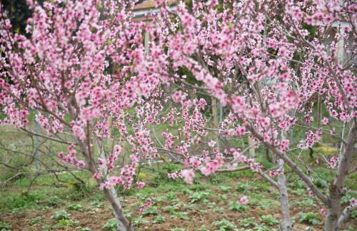 ELIZABETH by Antigone - Photo 22